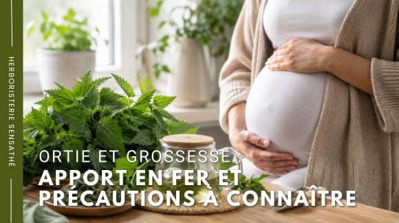 Ortie et grossesse  apport en fer et précautions - Herboristerie Sensathé à connaître 